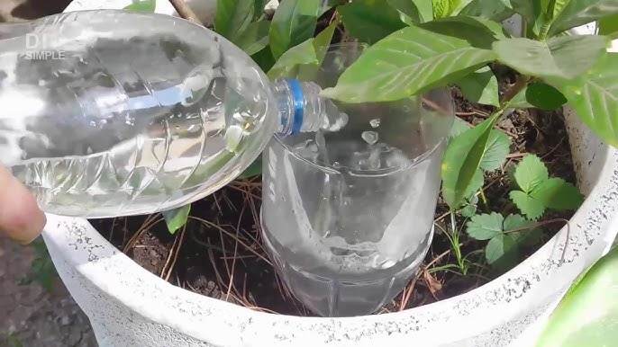 6 Steps To Craft A DIY Automatic Bottle Vegetable Waterer - 115