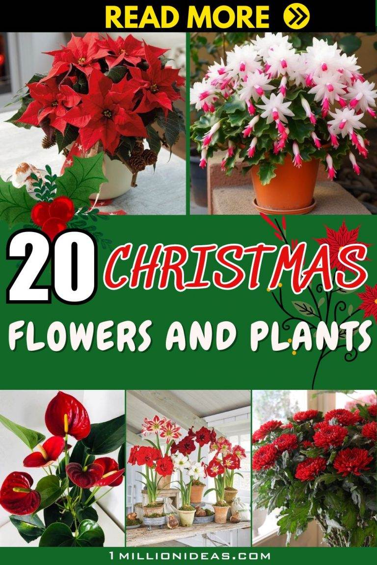 20 Christmas Flowers and Plants That Symbolize The Holiday Spirit