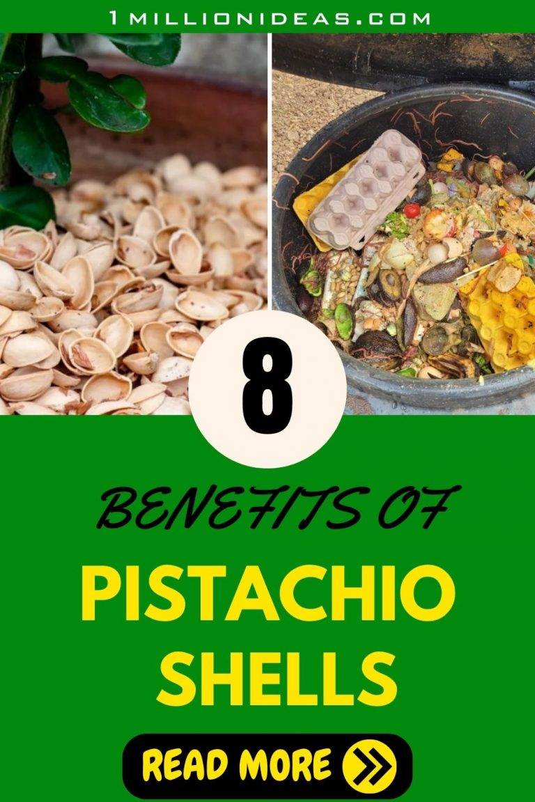 8 Surprising Benefits Of Pistachio Shells For Your Garden