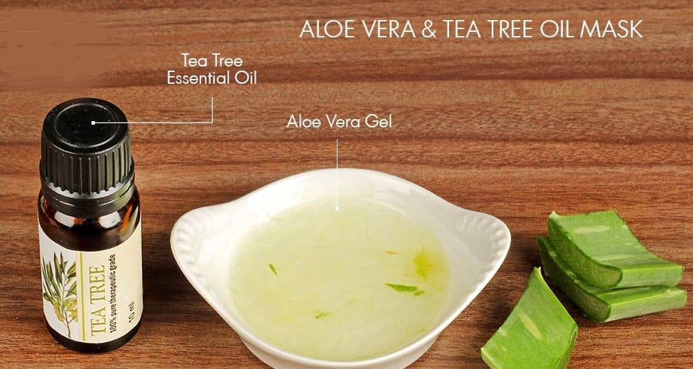 Aloe Vera And Tea Tree Oil