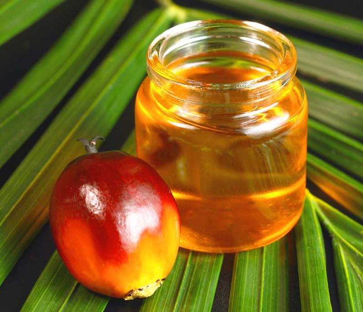 Coconut Oil And Red Palm Fruit Oil