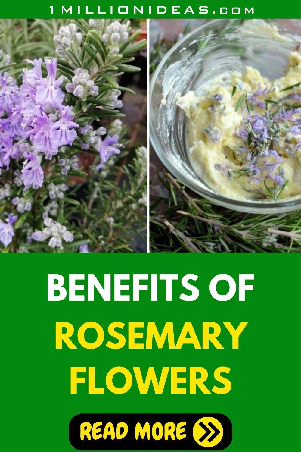 Don’t Throw Away Your Rosemary Flowers: They Are A Versatile Ingredient - 41