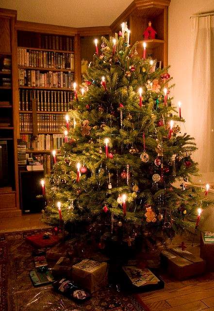 35 Christmas Tree Ideas To Make Your Home More Festive - 283
