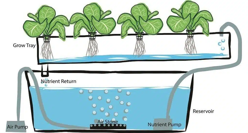 How To Make A DIY Hydroponics Growing System In 6 Easy Steps - 65