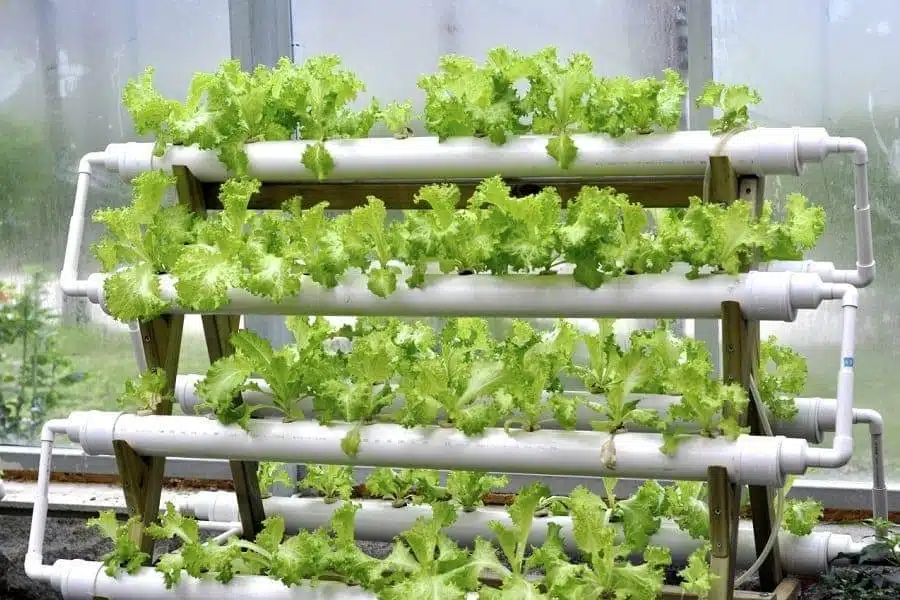 How To Make A DIY Hydroponics Growing System In 6 Easy Steps - 71