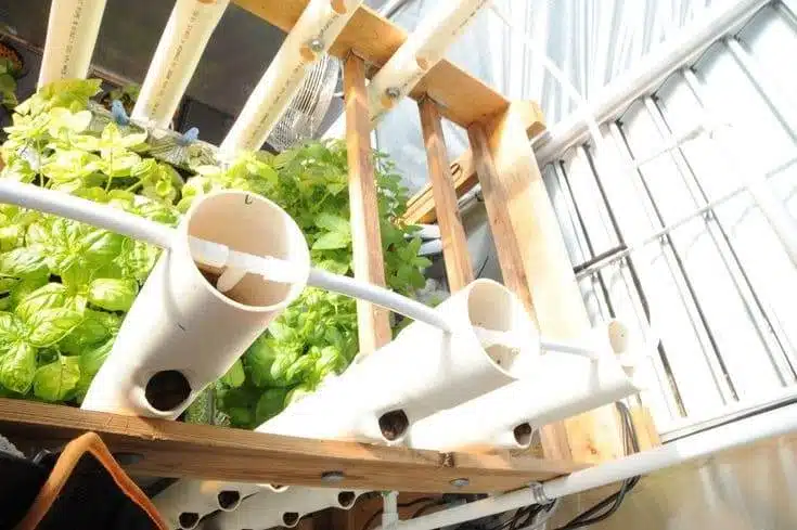 How To Make A DIY Hydroponics Growing System In 6 Easy Steps - 73