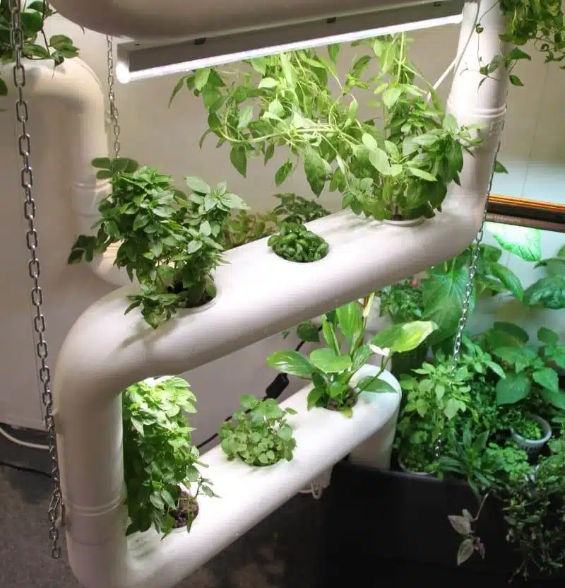 How To Make A DIY Hydroponics Growing System In 6 Easy Steps - 75