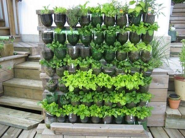How to Make Your Own Vertical Garden And Care For Them - 89