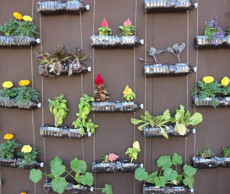 How to Make Your Own Vertical Garden And Care For Them - 91