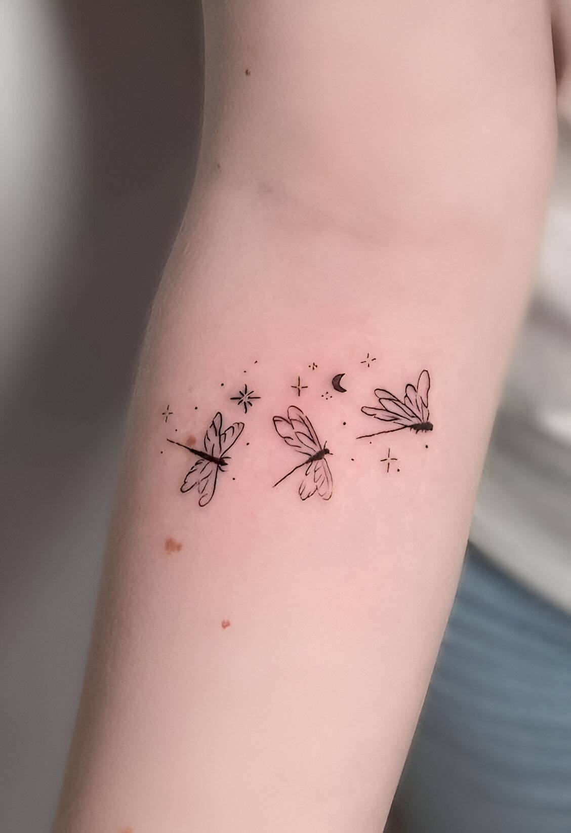 Dragonfly Ink
