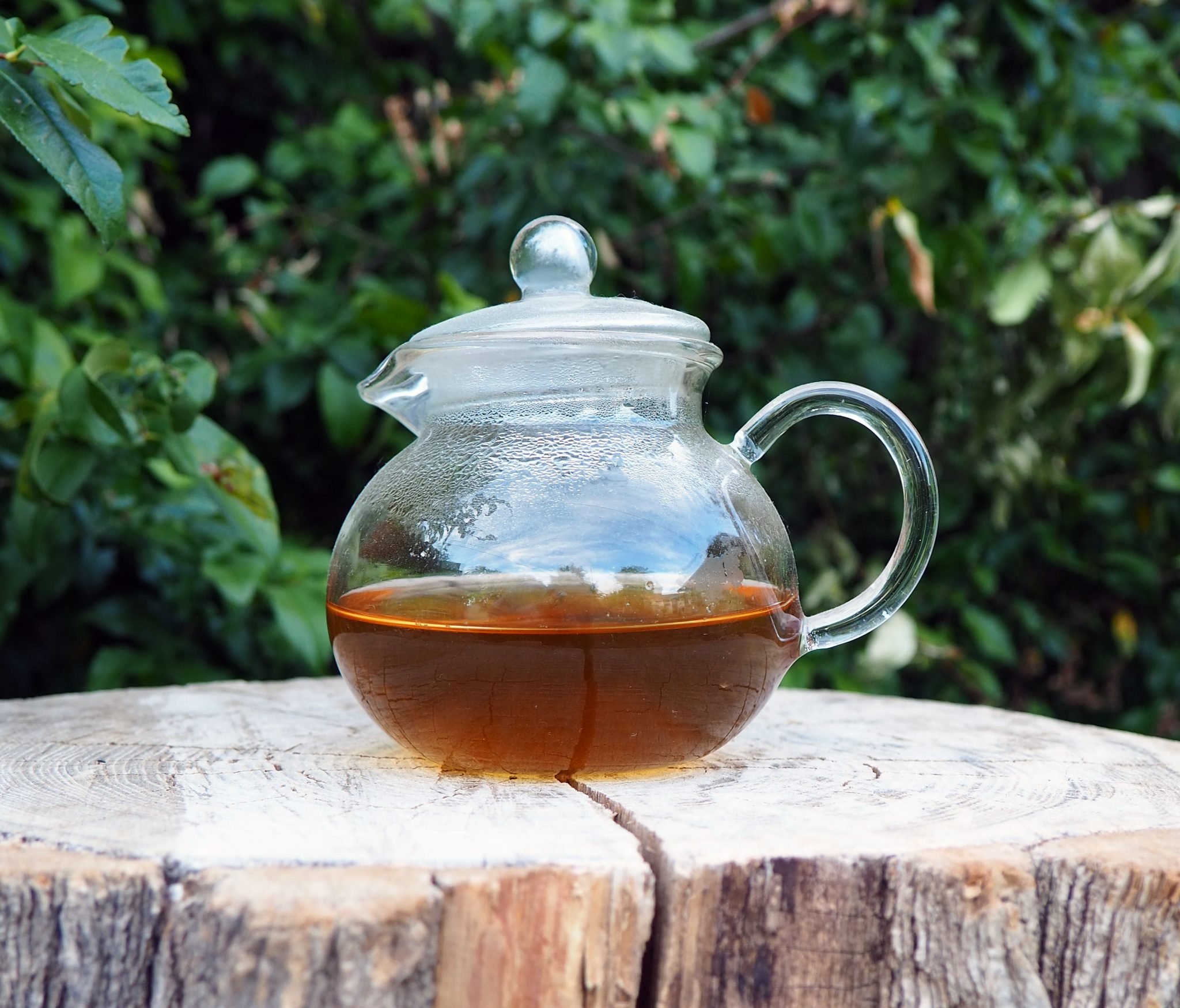 9 Surprising Health Benefits of Goosegrass You Need to Know