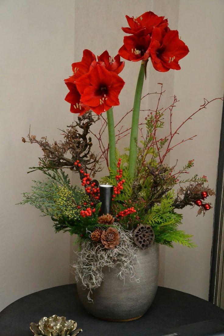 Bold Amaryllis Holiday Garden Vase