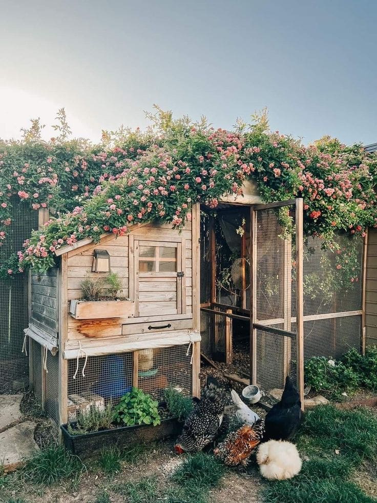 Charming Cottage-Style Chicken Coop with Floral Roof