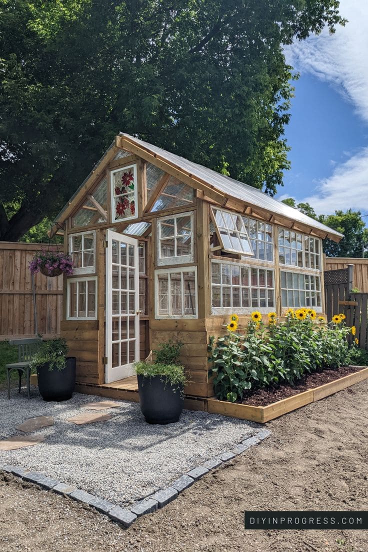 Charming Glass and Wood Greenhouse with Beautiful Sunflowers