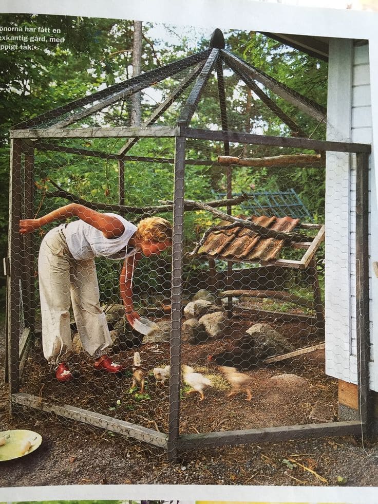 Charming Hexagonal Chicken Coop with Rustic Roof