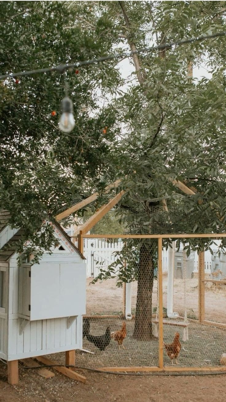 Charming Tree-Shaded Chicken Coop