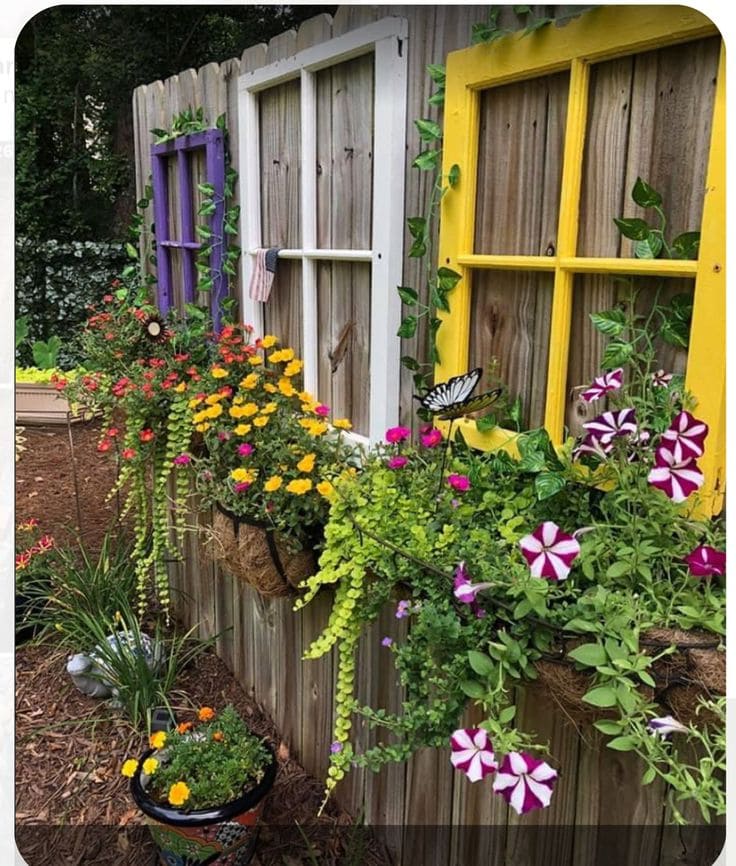 Colorful Window Frame Planters with Cascading Blooms