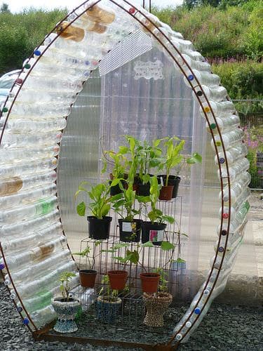 Eco-Friendly Greenhouse Made from Recycled Bottles