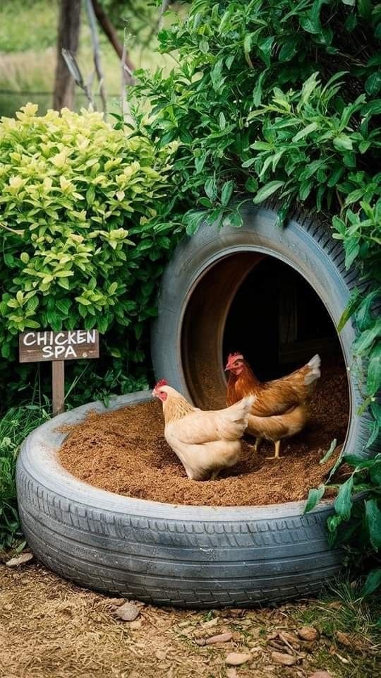 Eco-Friendly Tire Chicken Coop