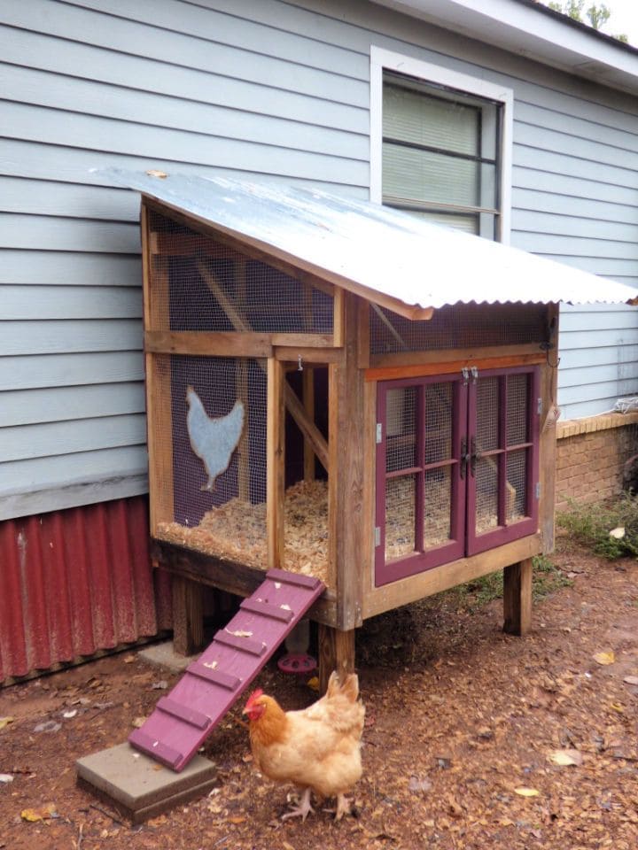 Elevated Backyard Chicken Coop Design