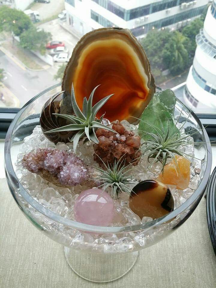 Exquisite Crystal and Air Plant Terrarium