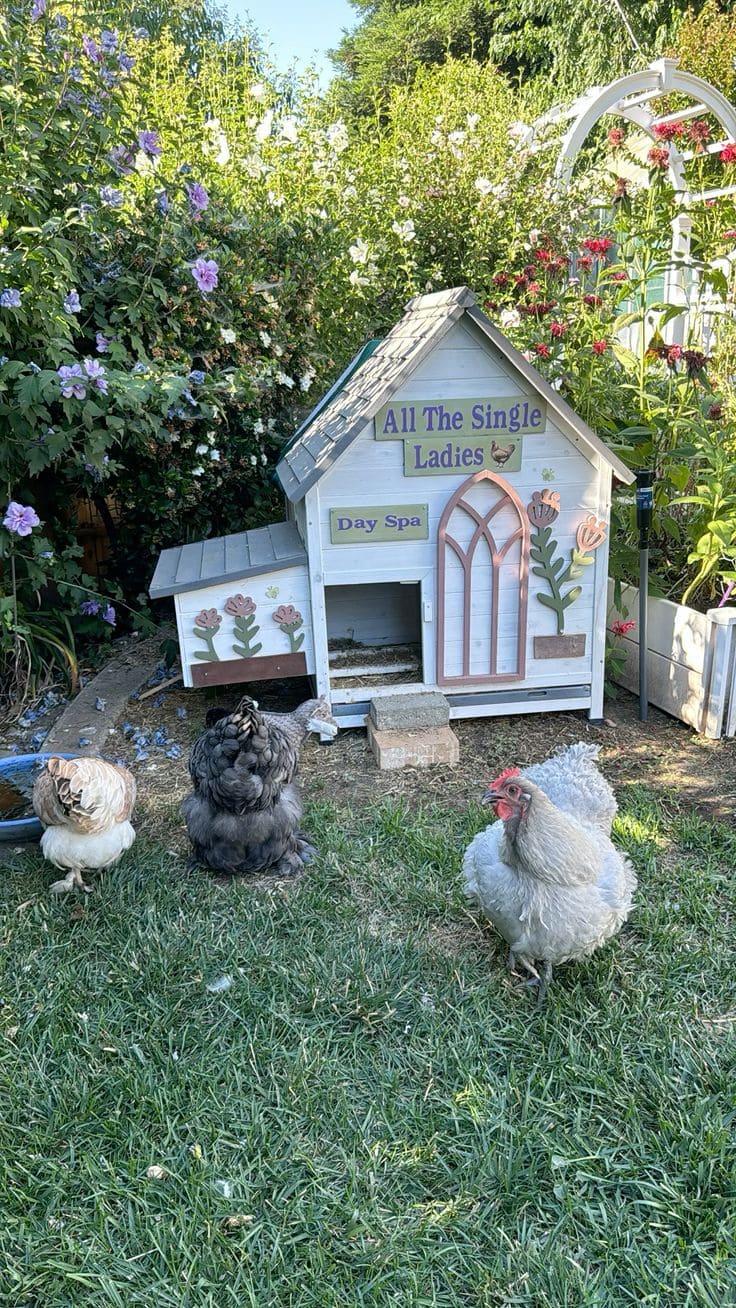 Garden-Themed Chicken Coop Day Spa