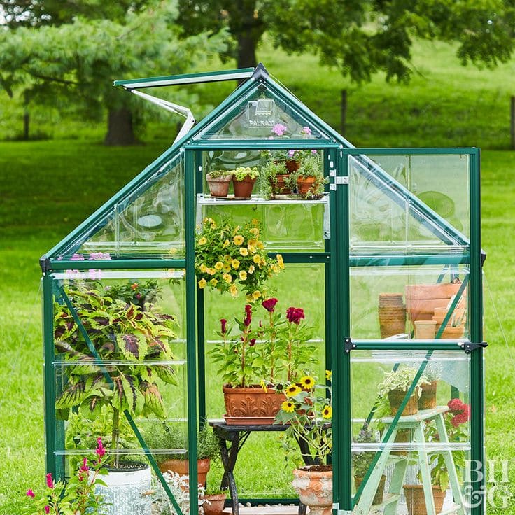 Green-Frame Glass Greenhouse For Potted Gardens