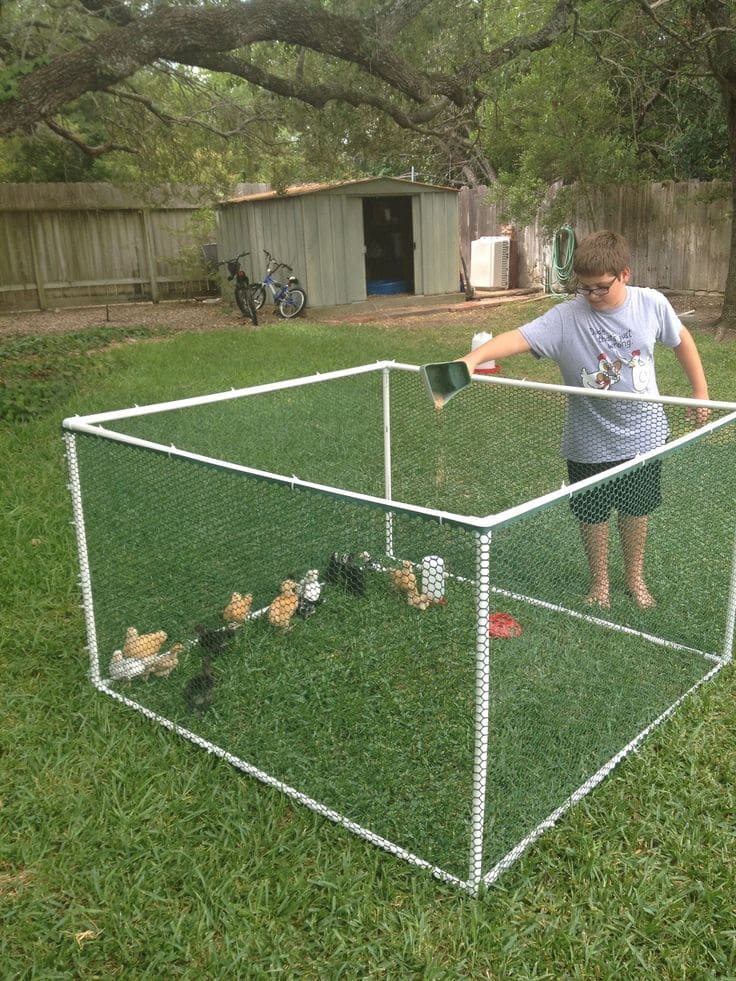 Lightweight PVC Chicken Coop for Easy Maintenance