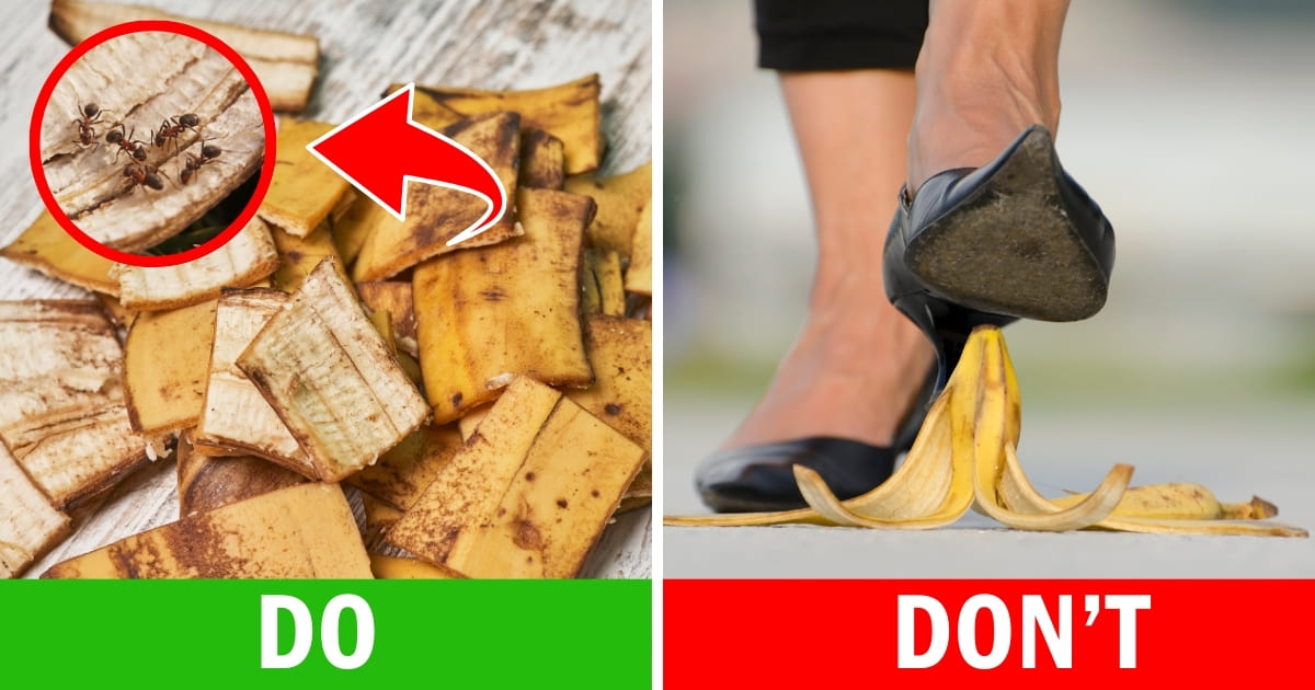 Picture of Banana Peels for Ant Control: An Eco-Friendly Solution That Works