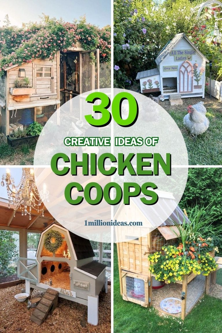 30 Creative Chicken Coop Ideas to Optimize Space for Your Flock