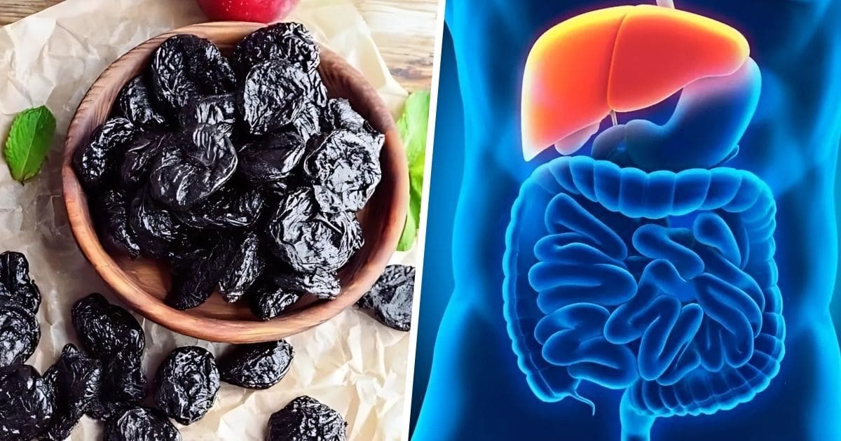 Own a Clean and Healthy Bowel With Just a Few Dried Prunes a Day