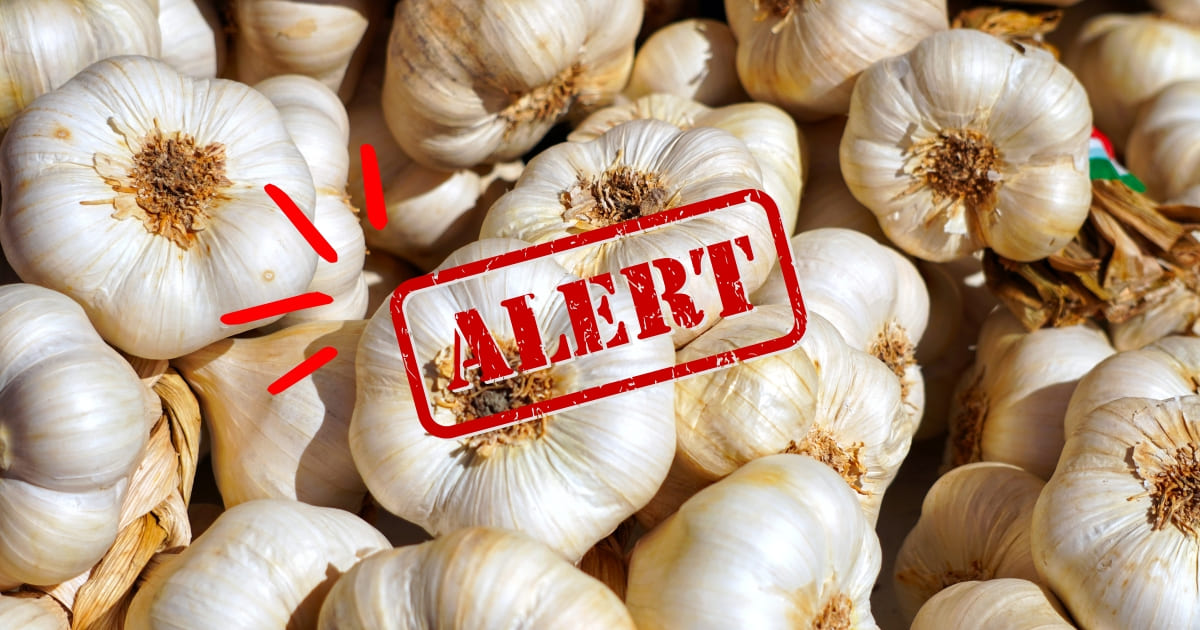 8 Garlic Mistakes You’re Probably Making and How They Could Harm Your ...