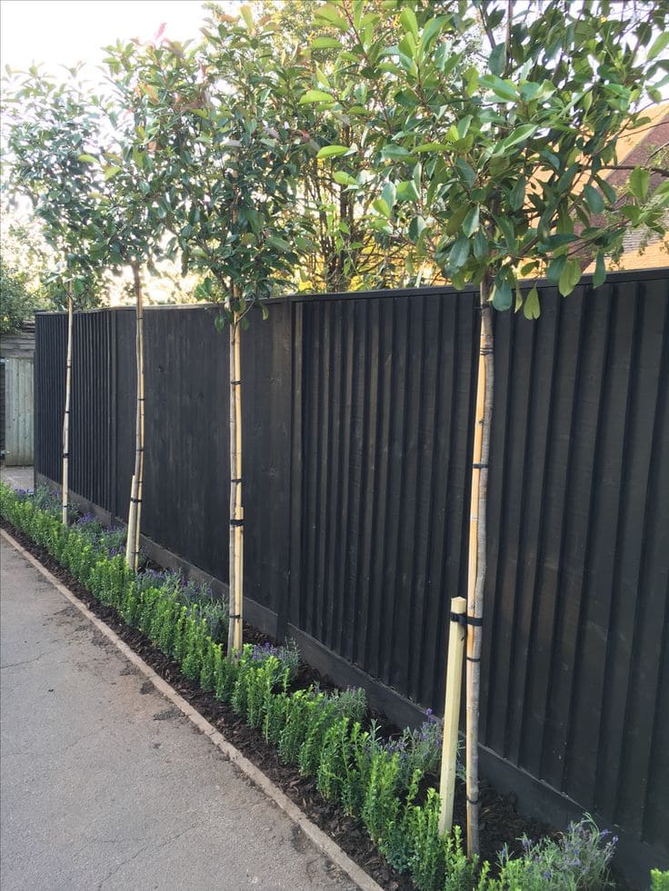 Modern Black Fence with Sleek Tree Line