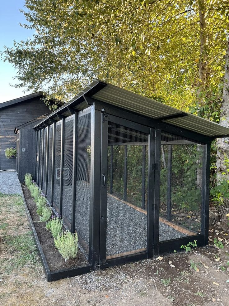 Modern Black Steel Chicken Coop