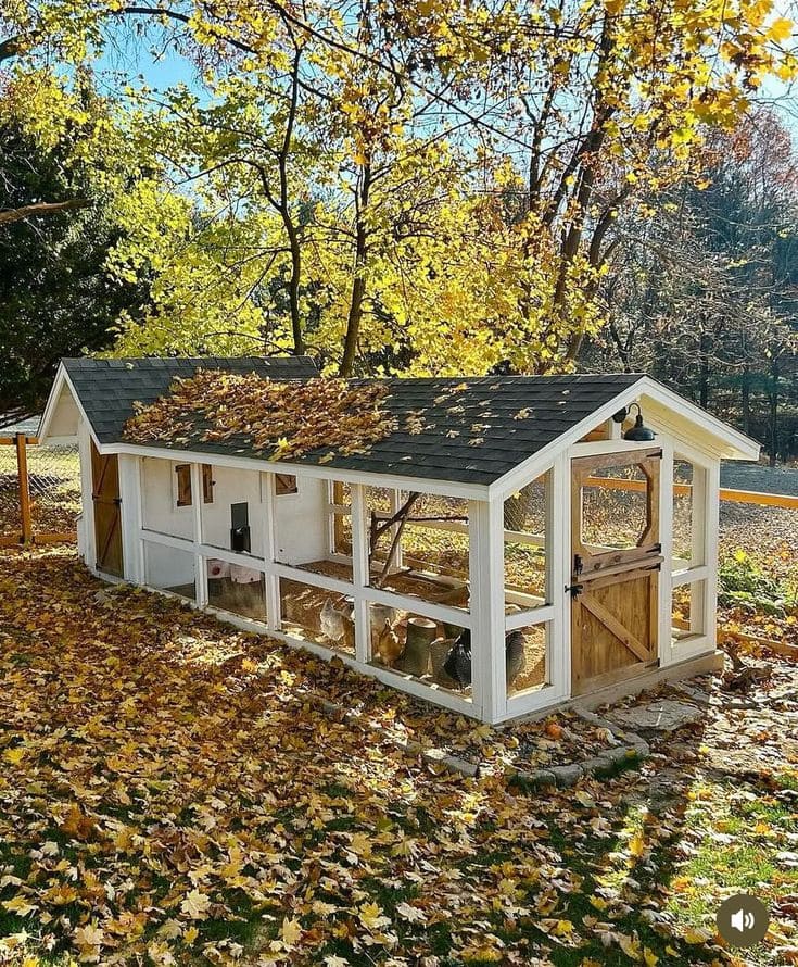 Modern Chicken Coop with Autumn Charm