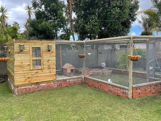 Rustic Chicken Coop with Brick Foundation