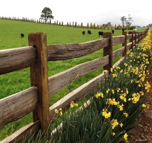 Simple Rustic Wooden Fence