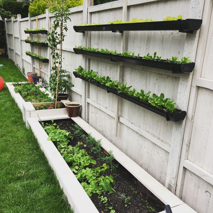 Vertical Planters on White Fence for Fresh Greens