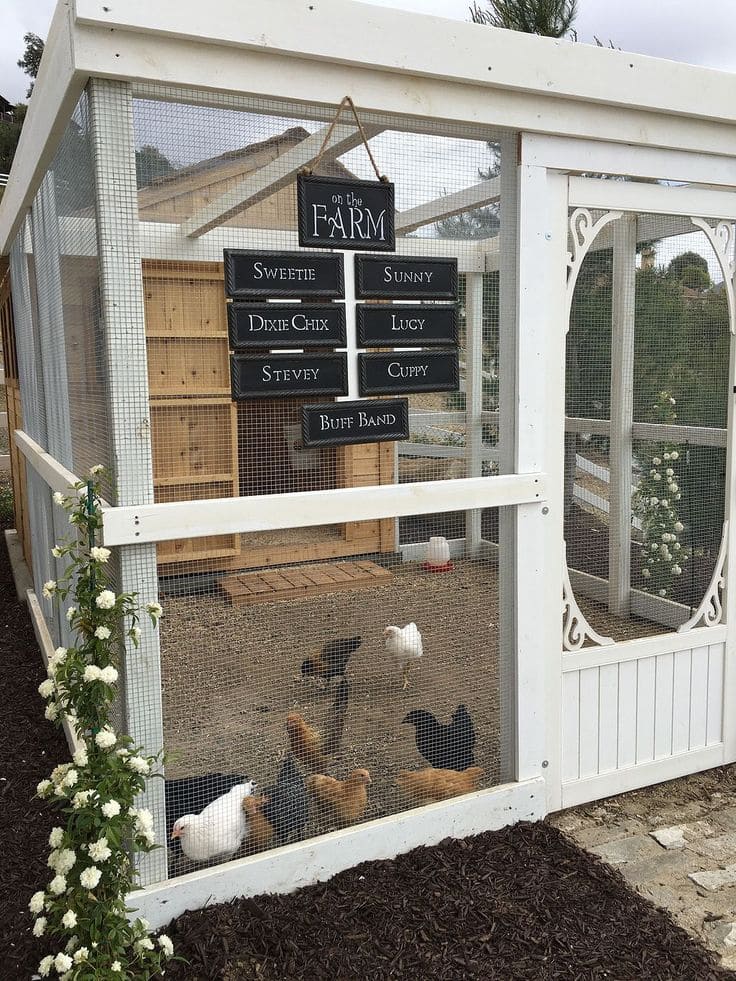 White Farmhouse-Style Chicken Coop Design