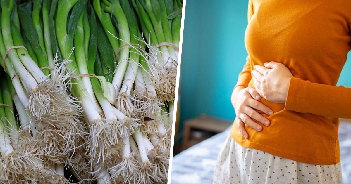 The Secret Power of Scallions: 7 Health Benefits You Never Expected