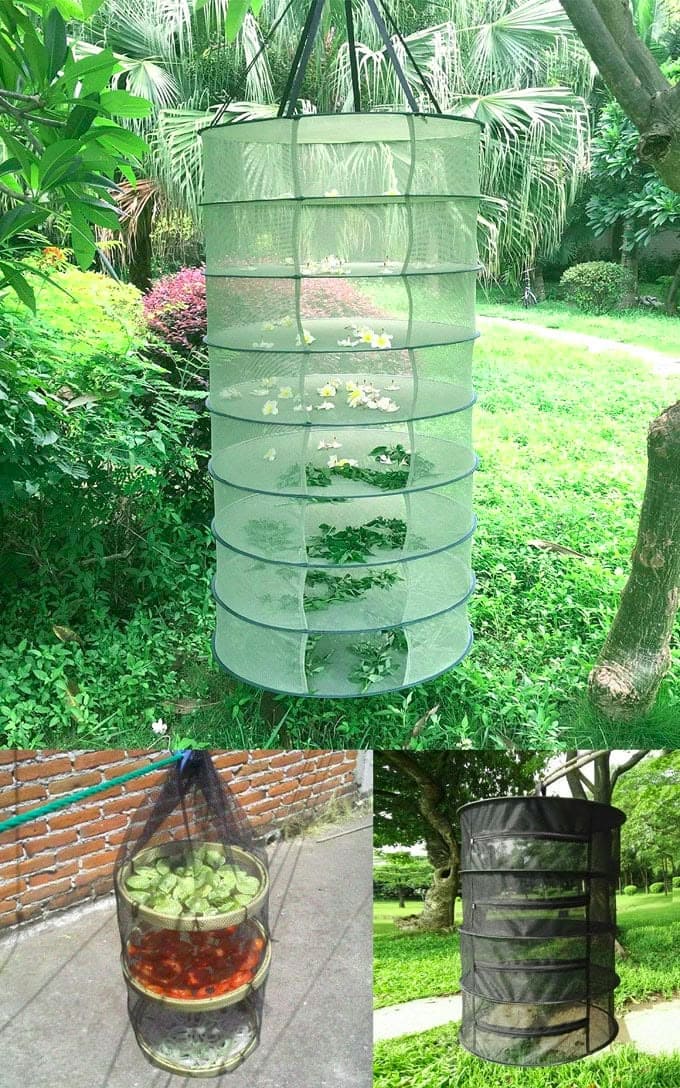 Collapsible Mesh Tiered Hanging Dehydrator
