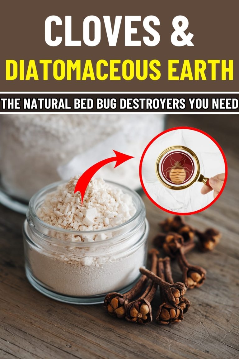 Bed Bugs Hate This! How Diatomaceous Earth and Cloves Can Wipe Them Out