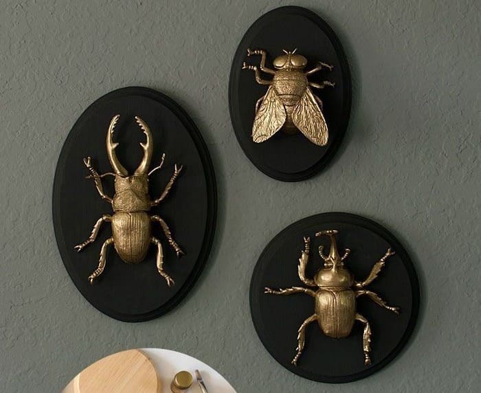 DIY Gilded Insect Faux Taxidermy