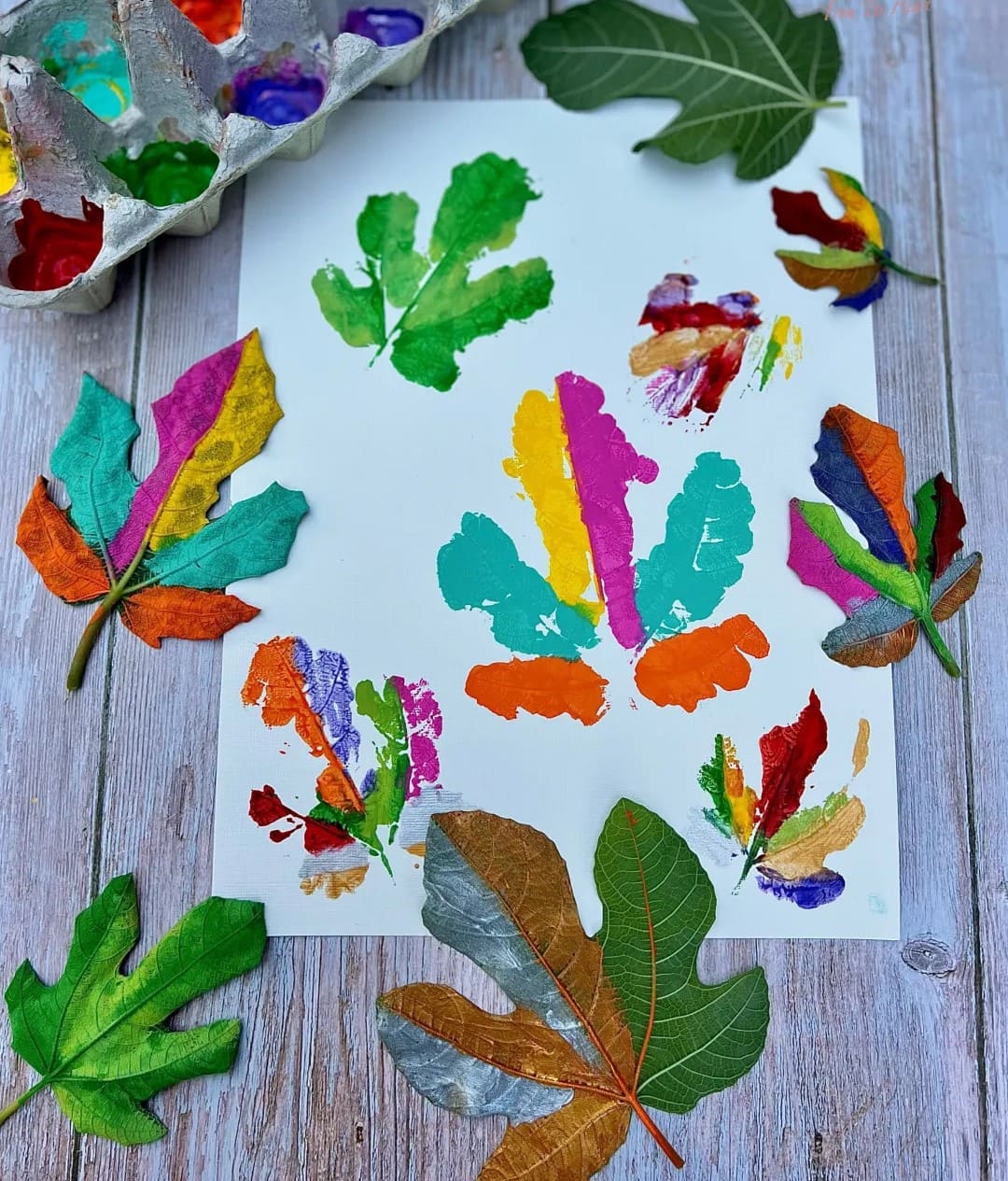 Rainbow Fig Leaf Prints With Egg Carton Palette