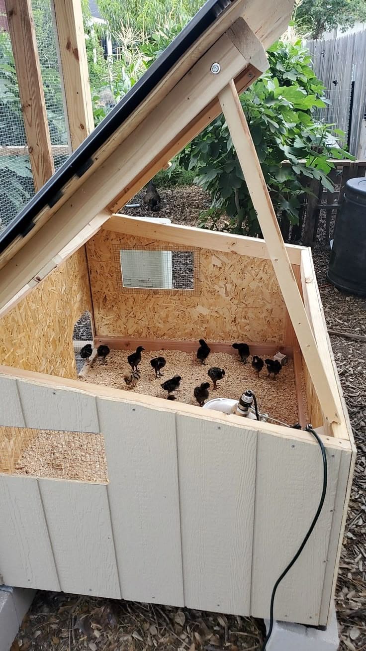 A-Frame Outdoor Brooder Coop