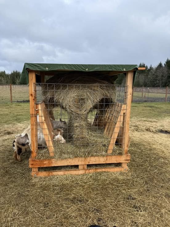 Covered Round Bale Goat Feeder