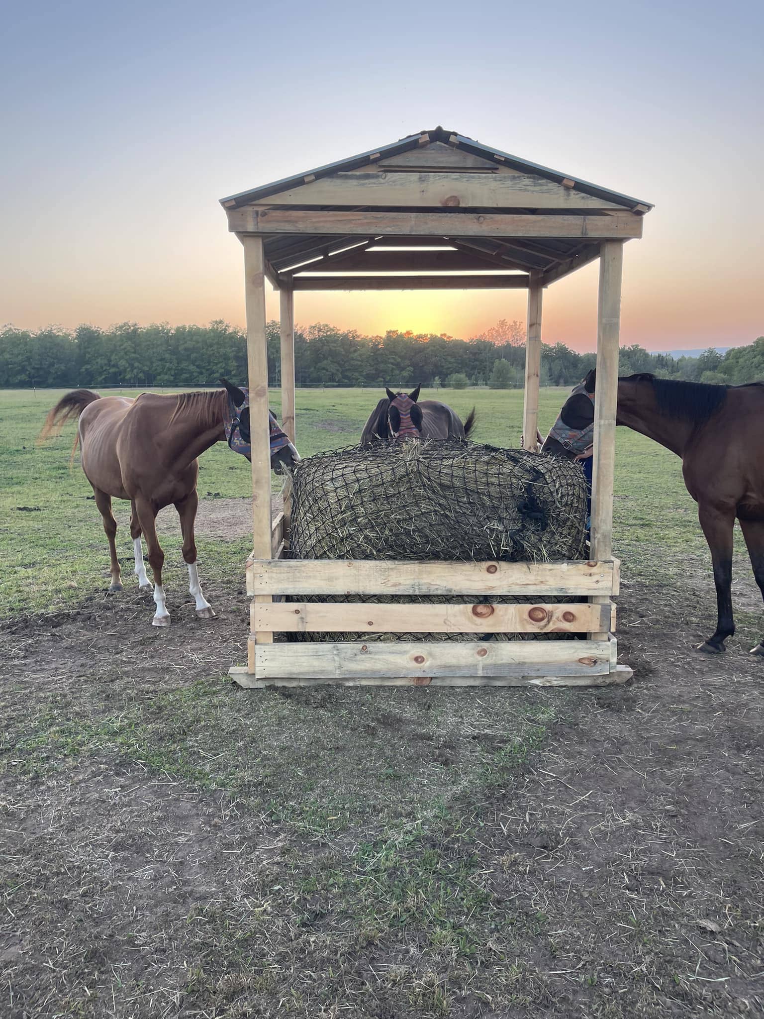 Gable-Roof Horse Hay Shelter