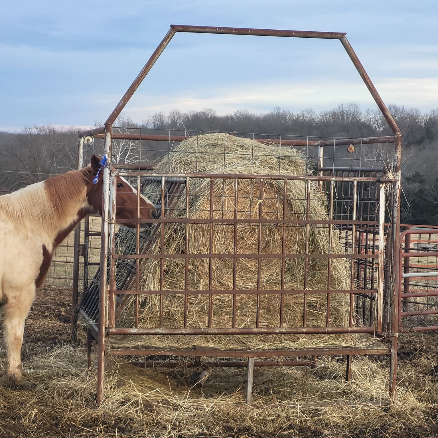 Heavy-Duty Metal Hay Feeder