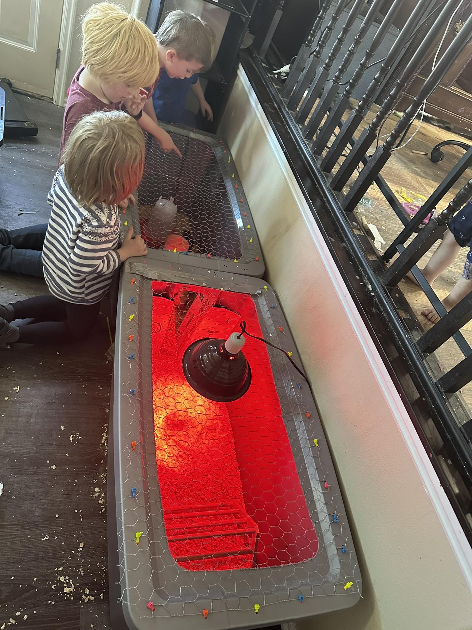 Indoor Storage Bin Brooder Station
