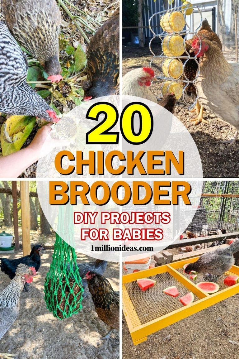 20 Practical DIY Chicken Brooder Ideas to Raise Healthy Chicks
